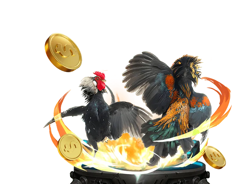 Chiến lược cá cược jun888